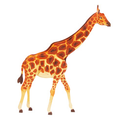 ROBOTIME 3D Painting Puzzle - Giraffe