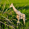 Little Story Wooden Model 3D Puzzle - Giraffe